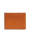 CREDIT CARD HOLDER