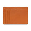 CREDIT CARD HOLDER